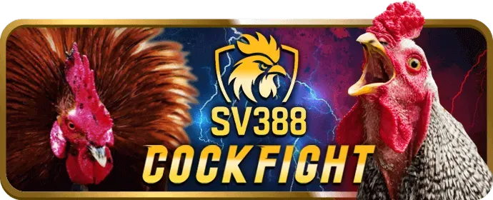 Cookies và công nghệ theo dõi tại dkbet8
